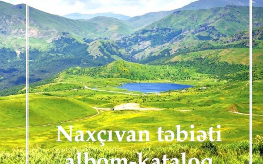 Naxçıvan ərazisinin 28 faizi xüsusi mühafizə olunan təbiət ərazilərinin payına düşür