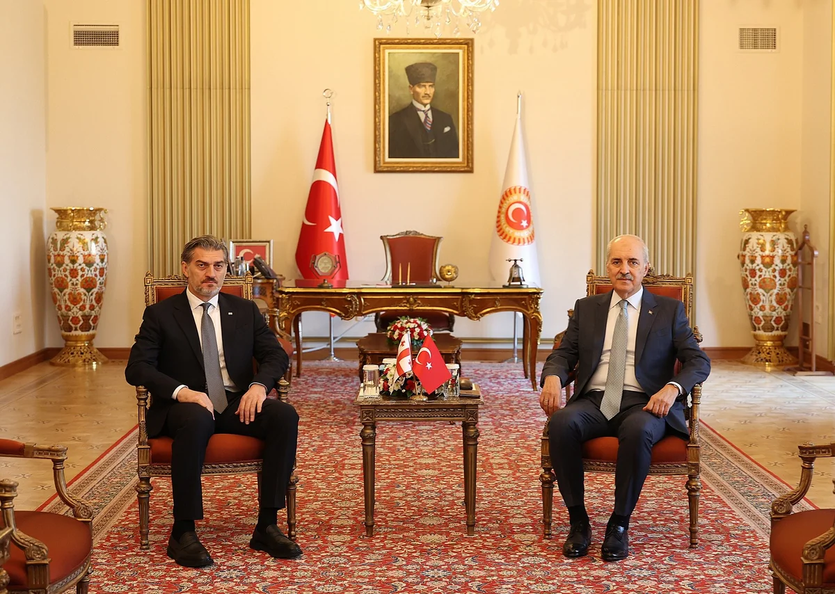 Georgian President, Speaker of Turkish parliament discuss South Caucasus dev’ts