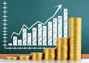 Azərbaycandakı investisiya şirkətlərinin vergiyəqədərki mənfəətinin/zərərinin məbləğinə görə renkinqi (2024)