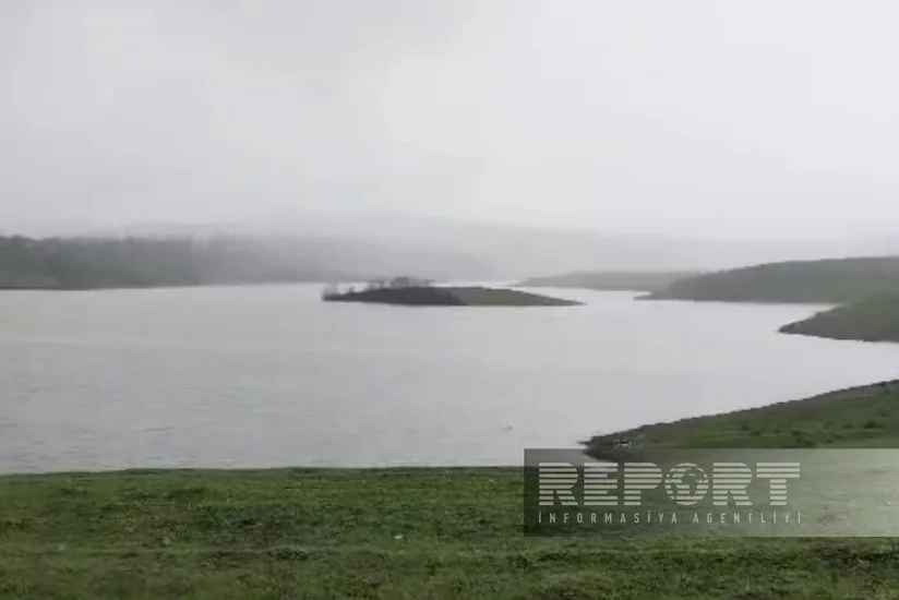 Cəlilabadda 13 yeni sututar yaradılıb 