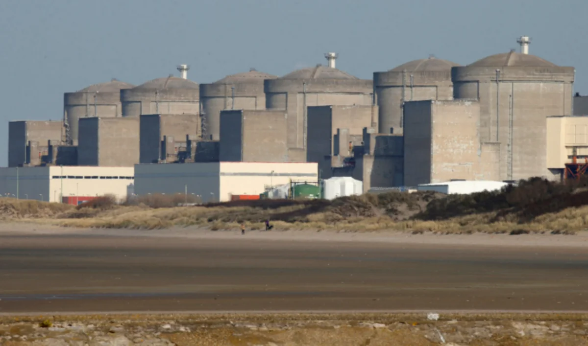 Swarm of jellyfish shuts French nuclear plant