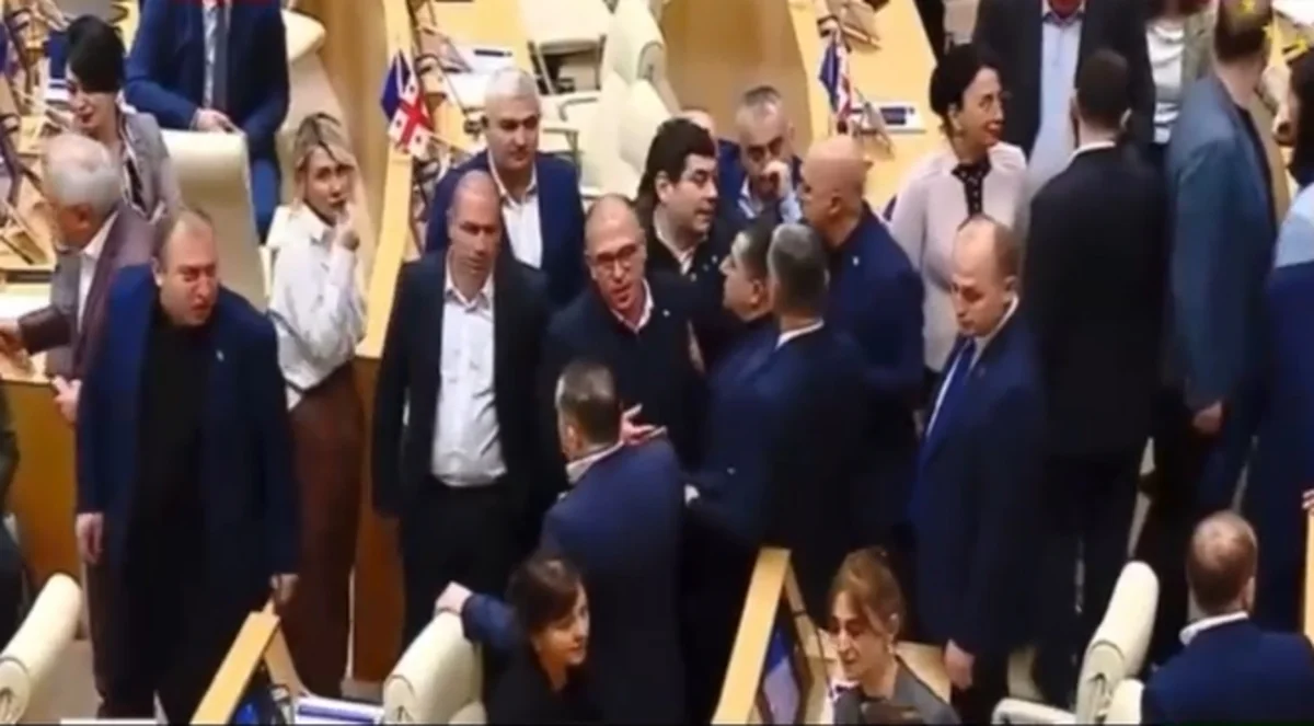 Gürcüstan parlamentində deputatlar arasında dava düşüb