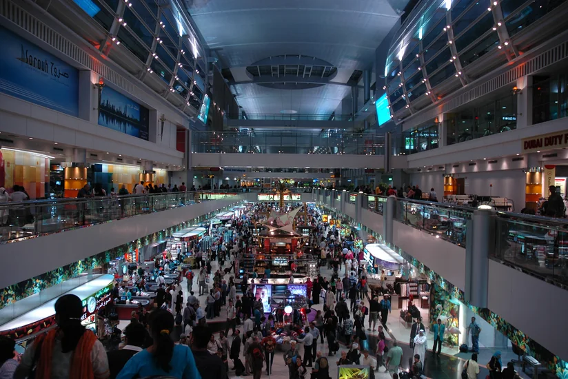 Аэропорт Дубая начал использовать собак для выявления коронавируса