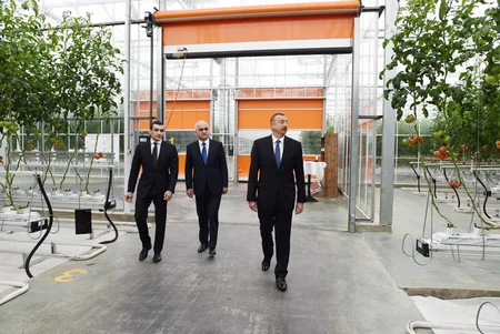 Prezident İlham Əliyev Zirə qəsəbəsində “BAKU AGROPARK”da görülən işlərlə tanış olub