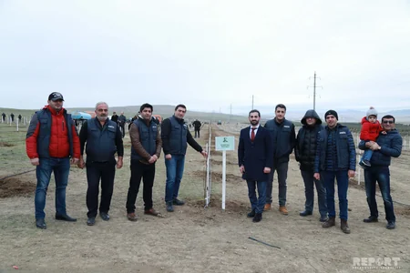 Report News Agency takes part in tree planting campaign - VIDEO