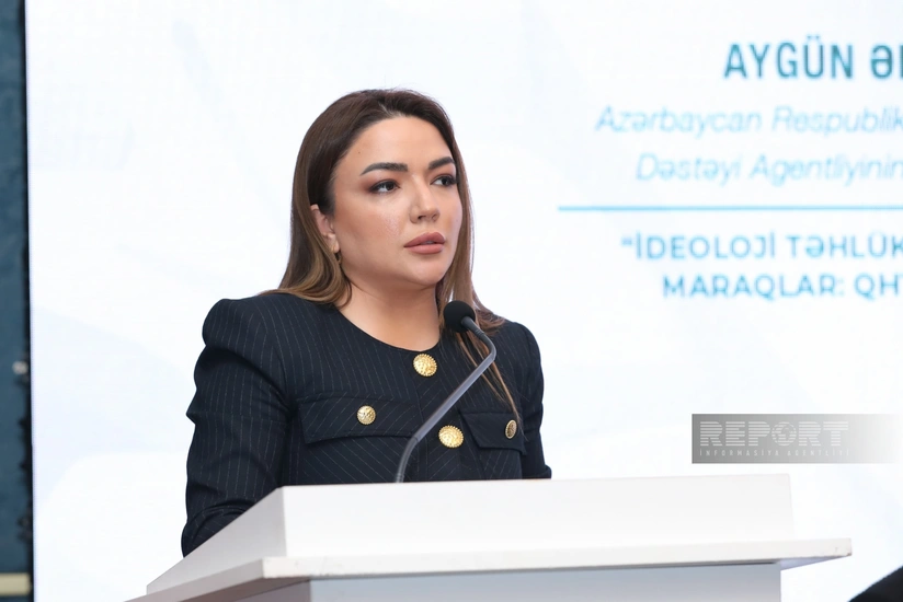 Aygün Əliyeva: Müstəqilliyin ilk illərində QHT-lərlə dövlət qurumlarının birgə fəaliyyətində ciddi problemlər var idi