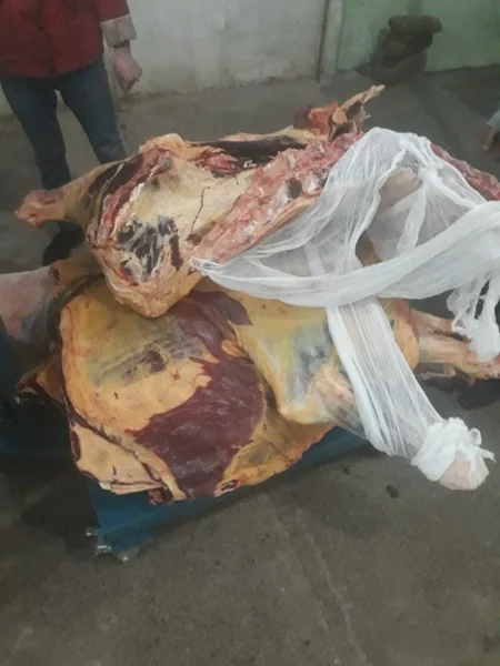 Ağdaşda avtomobildən 534 kq istehlaka yararsız ət aşkar edilib