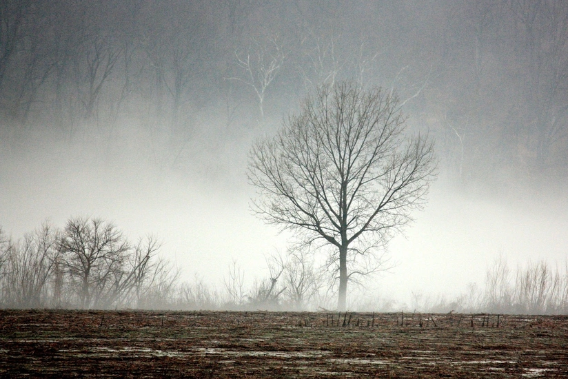 Bakıda dumanlı günlərin sayı artıb