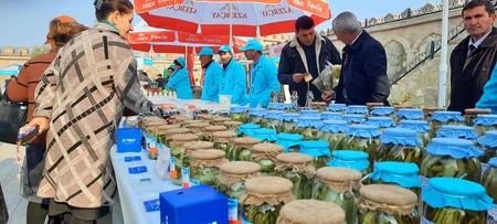 Naxçıvanda “Ailə təsərrüfatı məhsulları”nın satış yarmarkası keçirilir