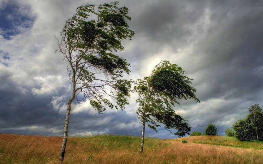 Windy weather predicted tomorrow