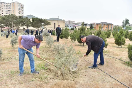 “Azərsu” Heydər Əliyevin 100 illik yubileyi münasibətilə ağacəkmə aksiyası keçirib