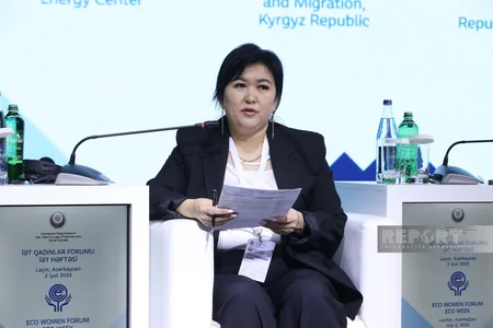 Laçında dayanıqlı inkişafda qadınların rolu mövzusunda panel sessiya keçirilib