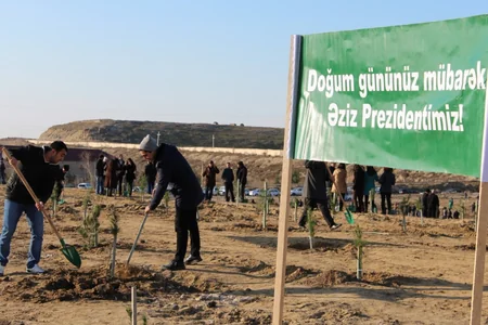 Ekologiya və Təbii Sərvətlər Nazirliyi iməcilik keçirib - FOTO