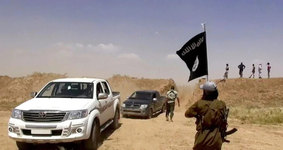 US Decision to Form Anti-IS Coalition Taken Too Late: Iraqi FM