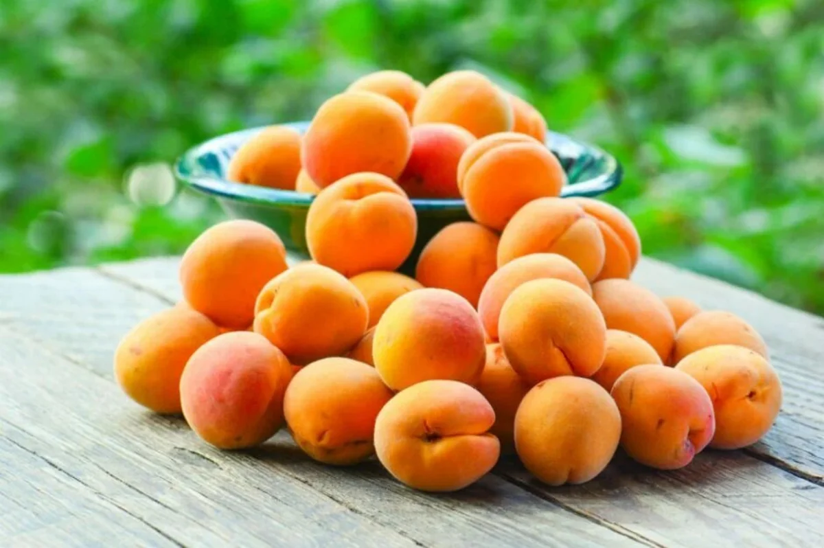 Azərbaycan 3 ölkəyə ərik ixracını bərpa edib