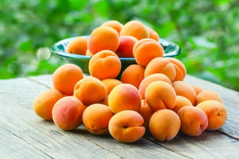 Azərbaycan 3 ölkəyə ərik ixracını bərpa edib