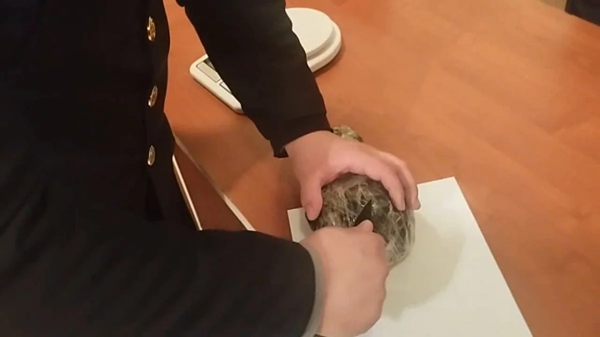 В Товузе задержаны несовершеннолетние наркокурьеры