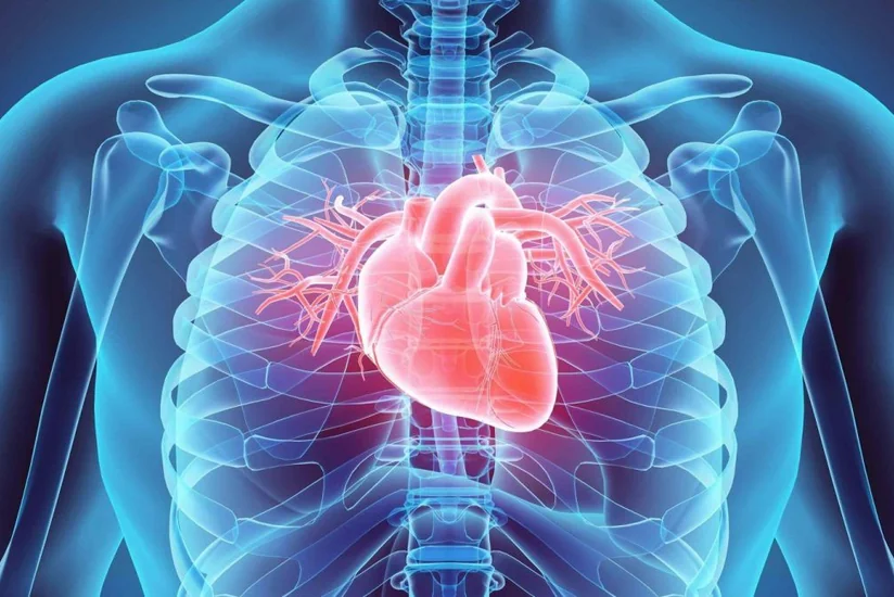 Kardioloq: “Ürək-damar xəstəlikləri olan bütün pasiyentlər vaksin vurdurmalıdır”