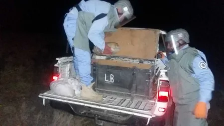 ANAMA oktyabrda 948 ədəd partlamamış hərbi sursat zərərsizləşdirib