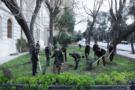 Dövlət Xidməti növbəti dəfə ağacəkmə aksiyası keçirdi