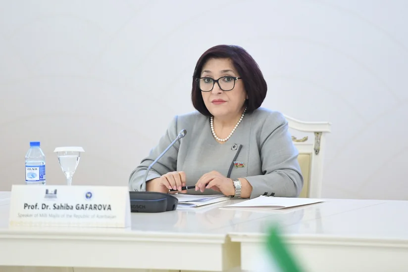 Azerbaijani parliament speaker announces expectations from Yevlakh meeting 