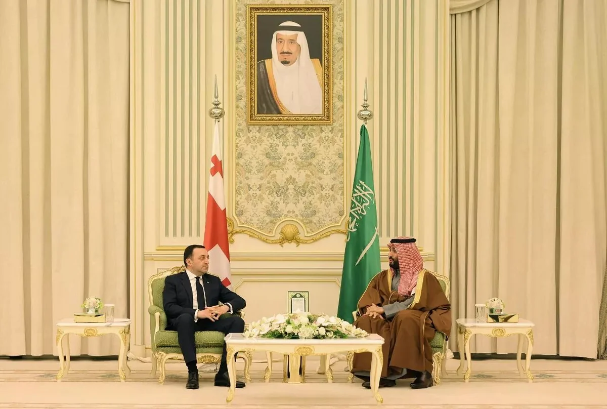 Georgian, Saudi prime ministers mull ties in tourism, investments