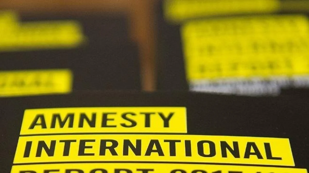 Amnesty International accuses France and other countries of human rights abuses
