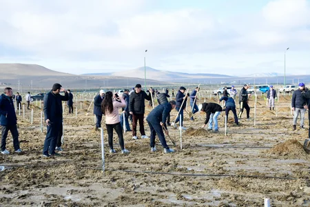 Tree-planting campaign held on 30th anniversary of New Azerbaijan Party