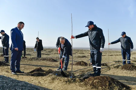 В Евлахском пилотном агропарке будут обеспечены работой 1 500 человек
