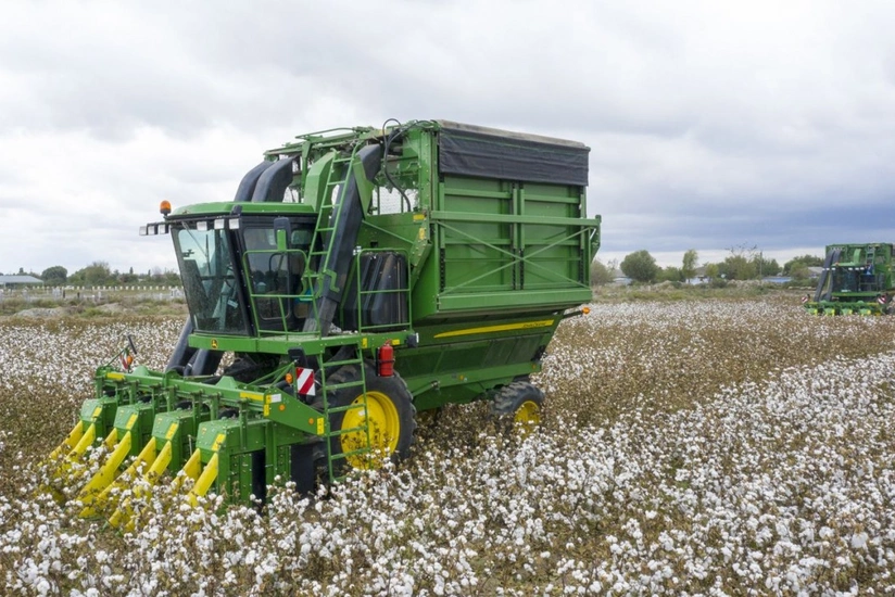 Azərbaycanın pambıq lifi ixracı 9%-dən çox azalıb