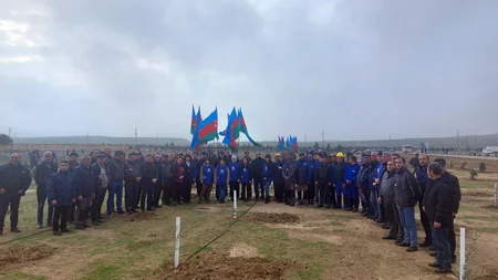 Сотрудники Азерэнержи присоединились к акции по посадке деревьев