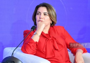 Vüsalə Mahirqızı: Sosial mediada yad təsirlərin Azərbaycan cəmiyyətinin fikri kimi göstərilməsi əsas problemlərdən biridir