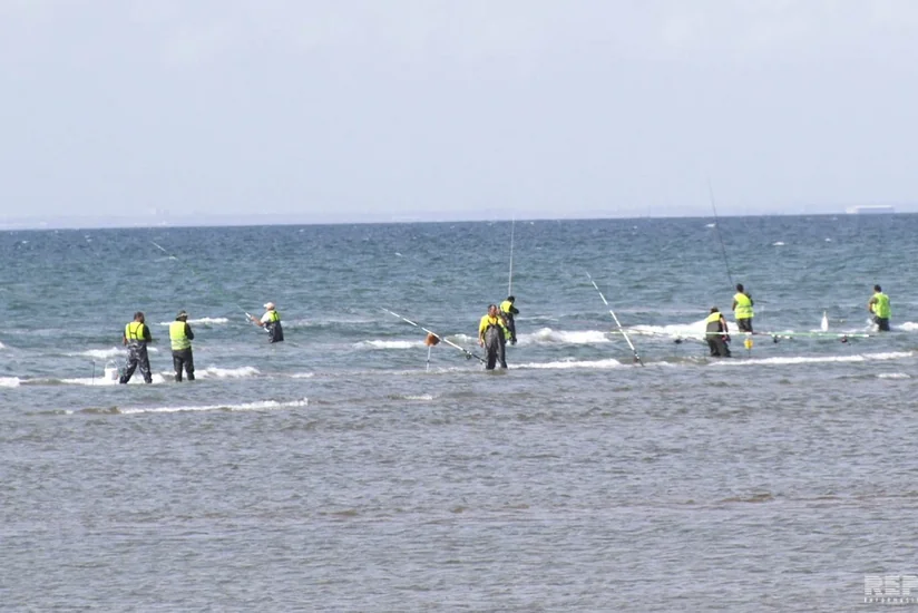 Abşeron Milli Parkında həvəskar balıq ovu turniri keçirilib - VİDEO