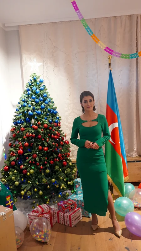 Avstriyada yaşayan Qarabağ qazisi və türk iş adamı təltif olunub