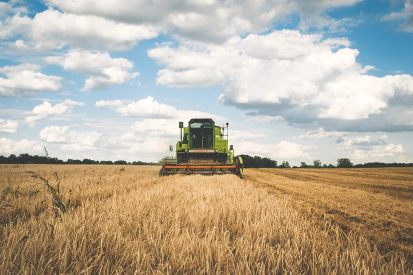 WB forecast: Azerbaijan's agriculture will grow by 1.5% this year