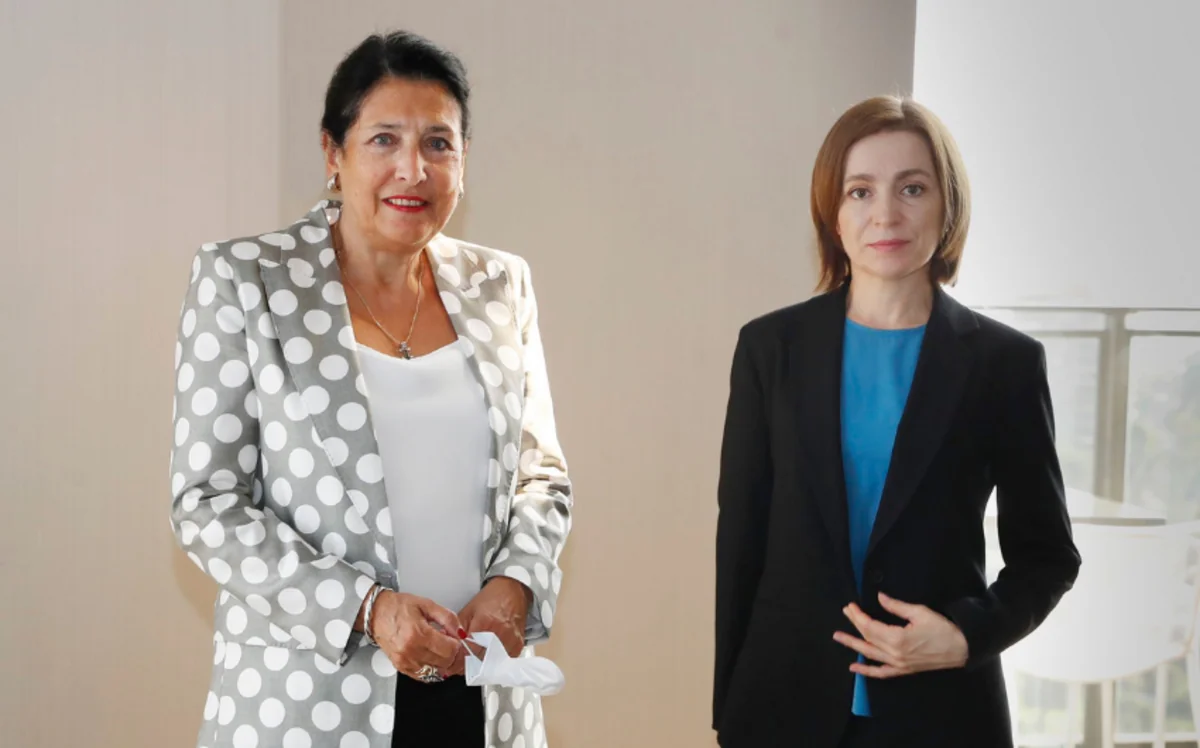 Gürcüstan Prezidenti Moldovaya həmrəylik ifadə edib