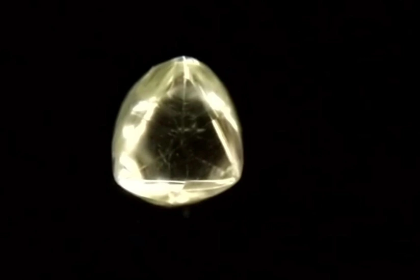 Жительница Индии нашла в лесу алмаз стоимостью около 25 тыс. долларов