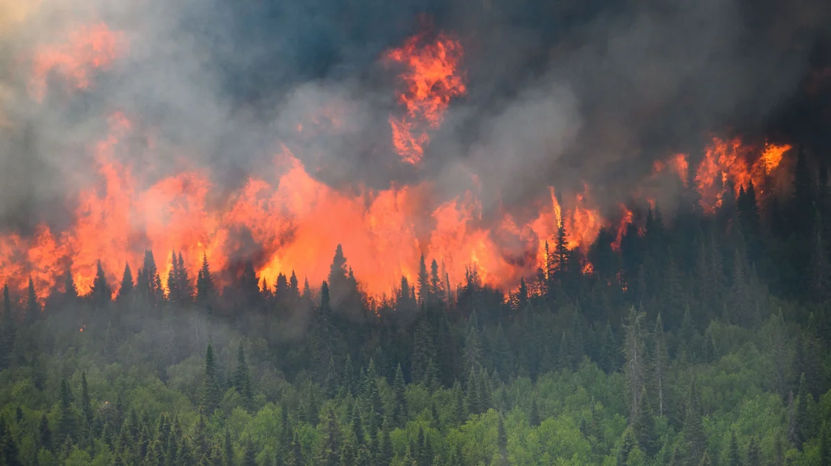 Thousands evacuated in 3 provinces as Canadian wildfires threaten air quality into some US states