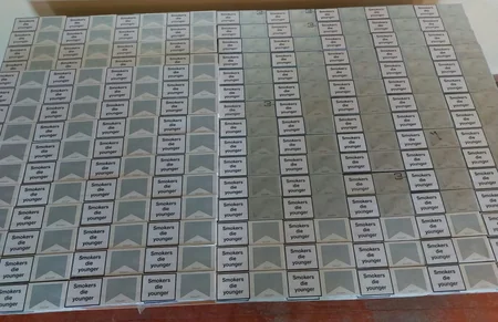 Ötən ay axtarışda olan 204 nəfər sərhəddə saxlanılıb