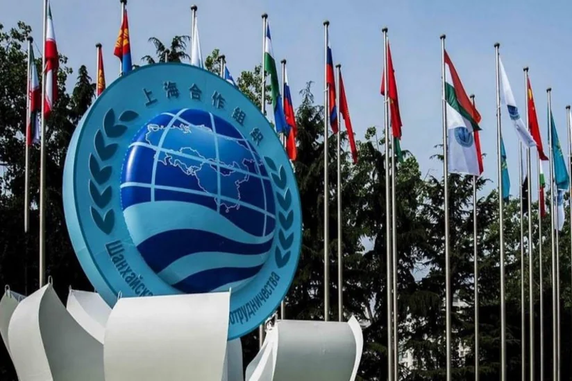 Azərbaycan ŞƏT üzv ölkələri ilə səmərəli münasibətlər qurub - RƏY