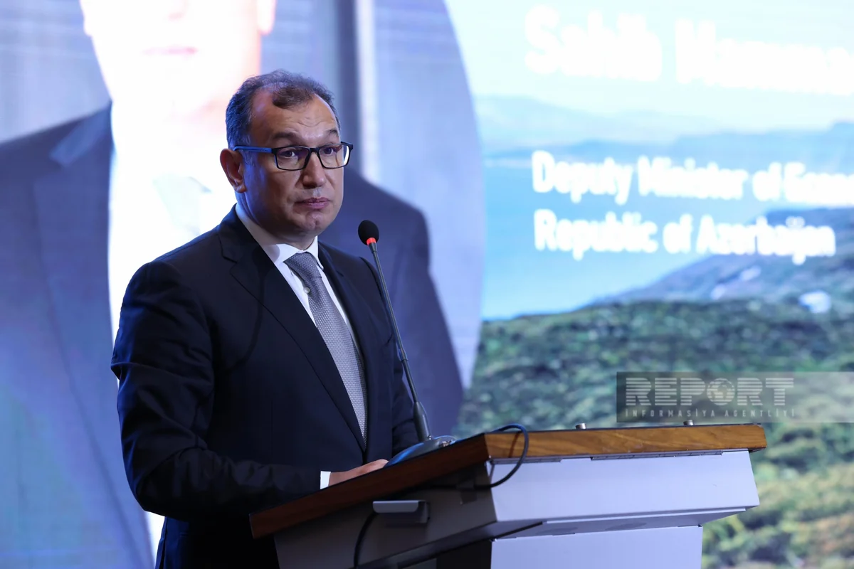 Deputy minister: Azerbaijan introduced incentives to attract investment
