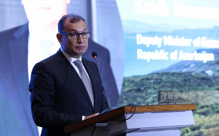 Sahib Məmmədov: “Azərbaycan investisiya cəlb etmək üçün stimul və təminatlar yaradıb”