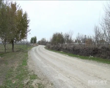 Goranboyda canavar sürüsü kəndə hücum edib - FOTO