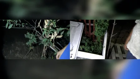 Polis əməliyyatlar keçirib, 13 nəfər saxlanılıb,  27 kq narkotik götürülüb