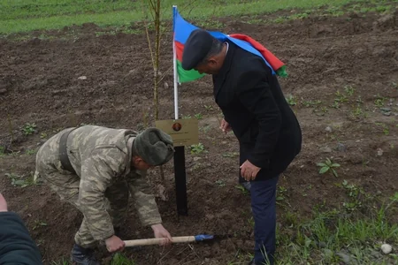 Cocuq Mərcanlıda Aprel şəhidlərinin xatirəsinə ağacəkmə aksiyası keçirilib