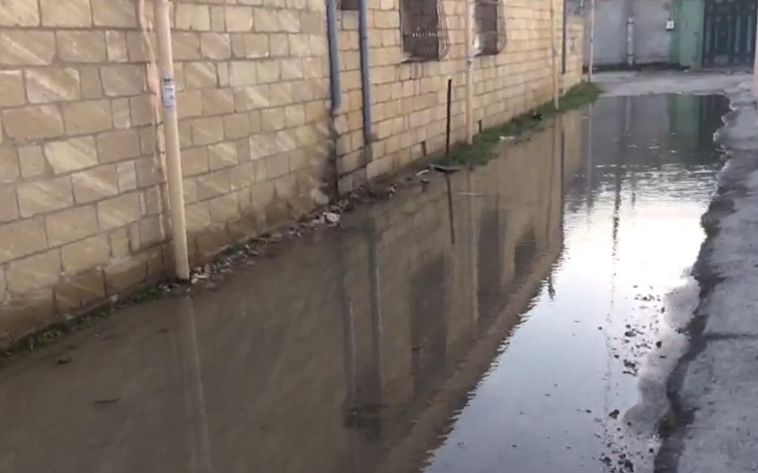 Abşeronda su borusunun partlaması səbəbindən küçələri su basıb - VİDEO