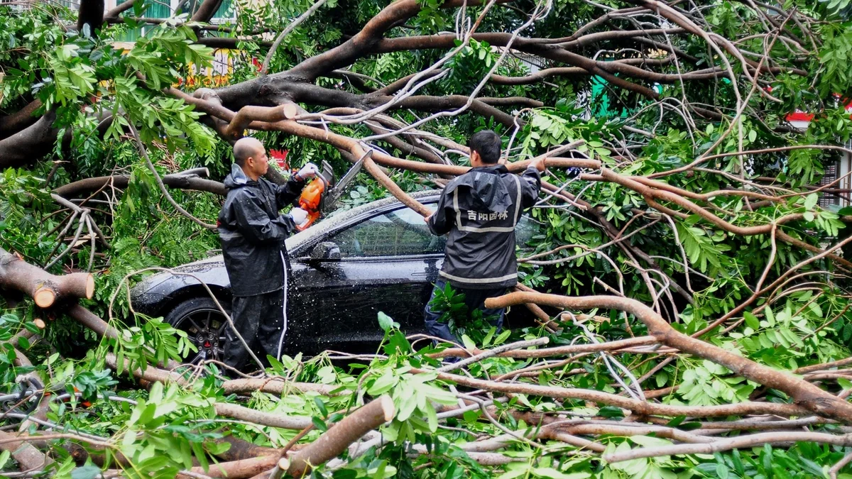 Typhoon Kajiki leaves 3 dead, 10 injured in Vietnam