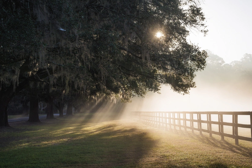 Ministry: The weather will be dry on holidays