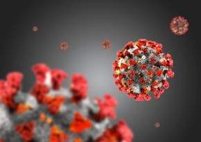  Russia: Over 29 thousand test positive for COVID-19 per day
