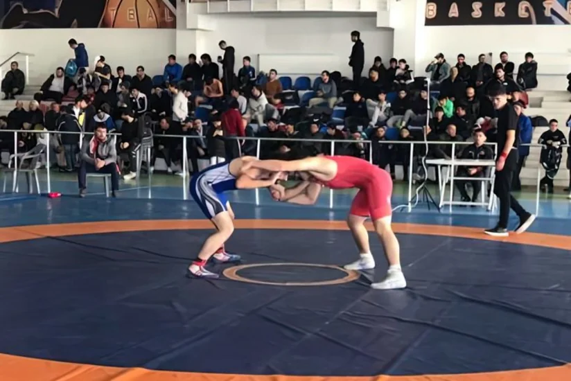 Güləş üzrə Bakı çempionatının mükafatçıları müəyyənləşib